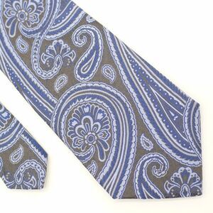 Express Design Studio Pewter‎ Brown Blue Paisley Woven Silk Tie